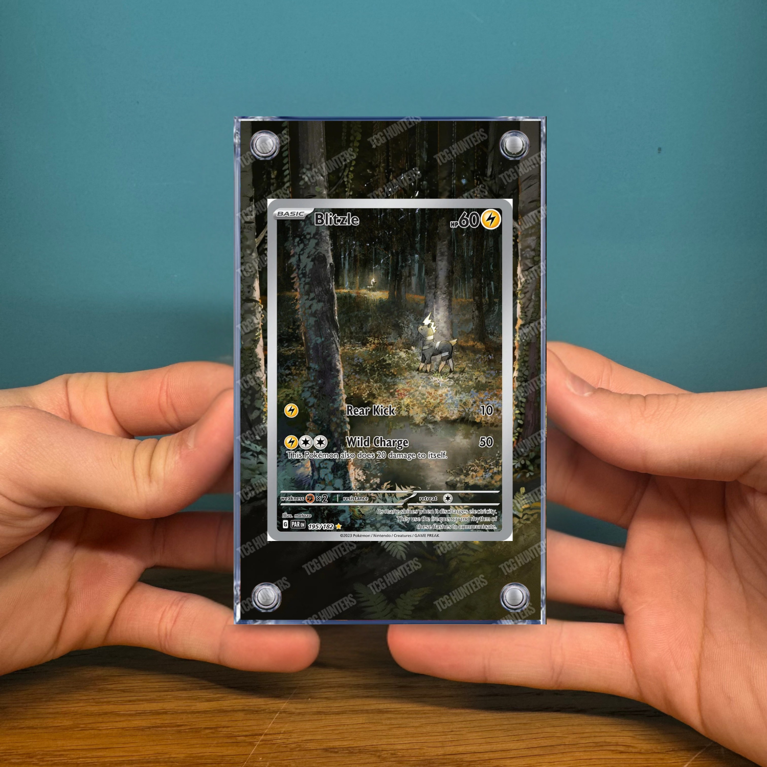 Pokémon Teca Magnetica Acrilico Extended Art - Blitzle (PAR 195) | Display Case2