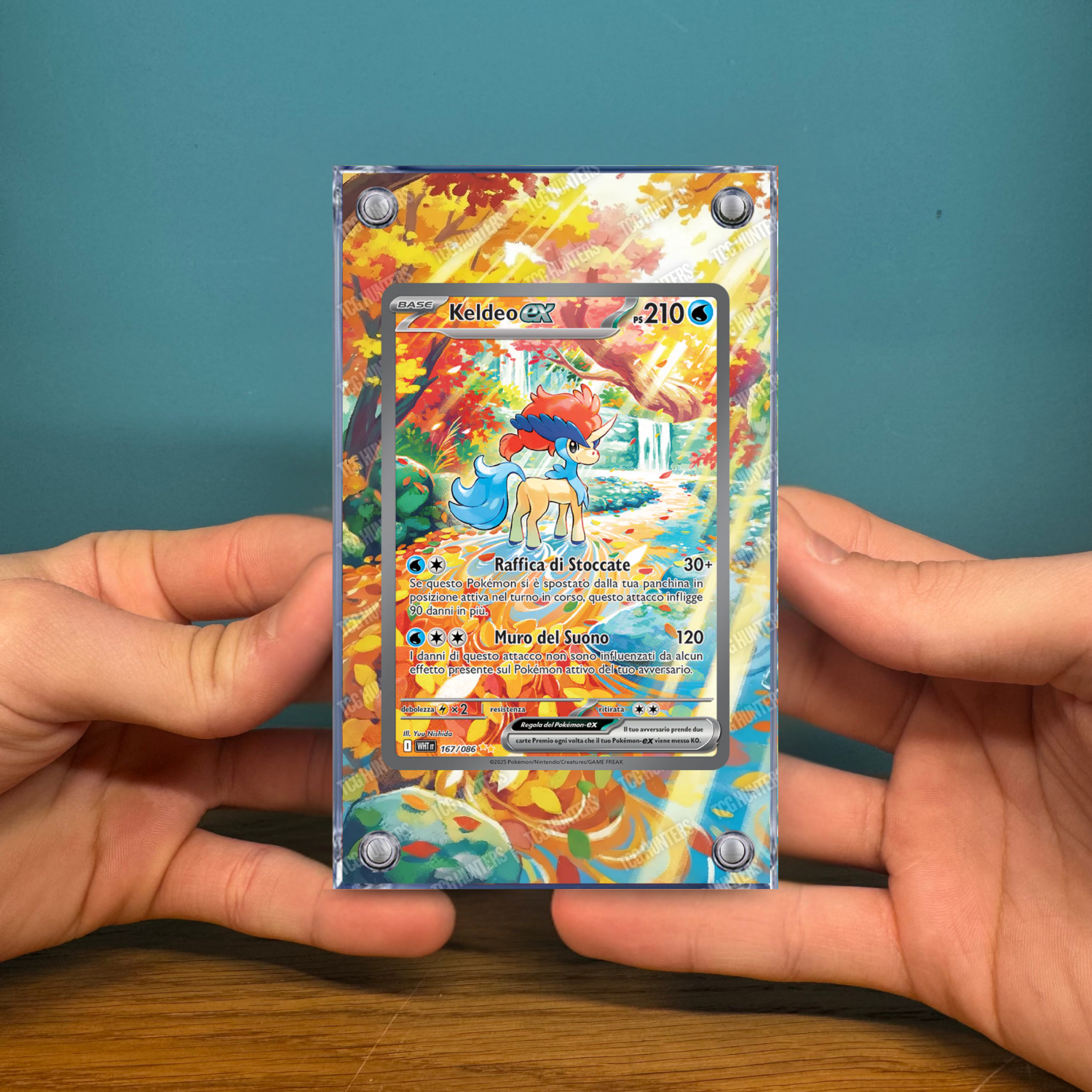 Pokémon Teca Magnetica Acrilico Extended Art - Keldeo WHT 169 | Display Case2