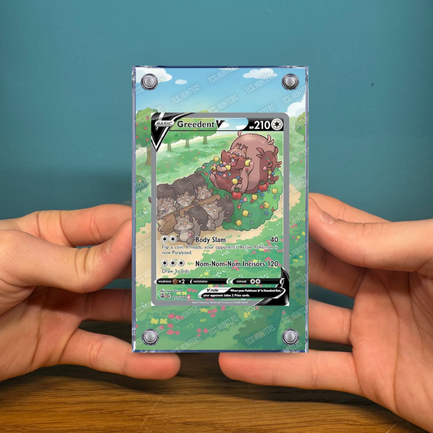 Pokémon Teca Magnetica Acrilico Extended Art - Greedent V FST 257 | Display Case2