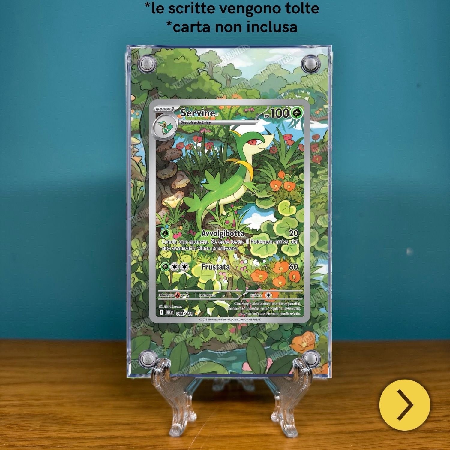 Pokémon Teca Magnetica Acrilico Extended Art - Servine BLK 088 | Display Case1