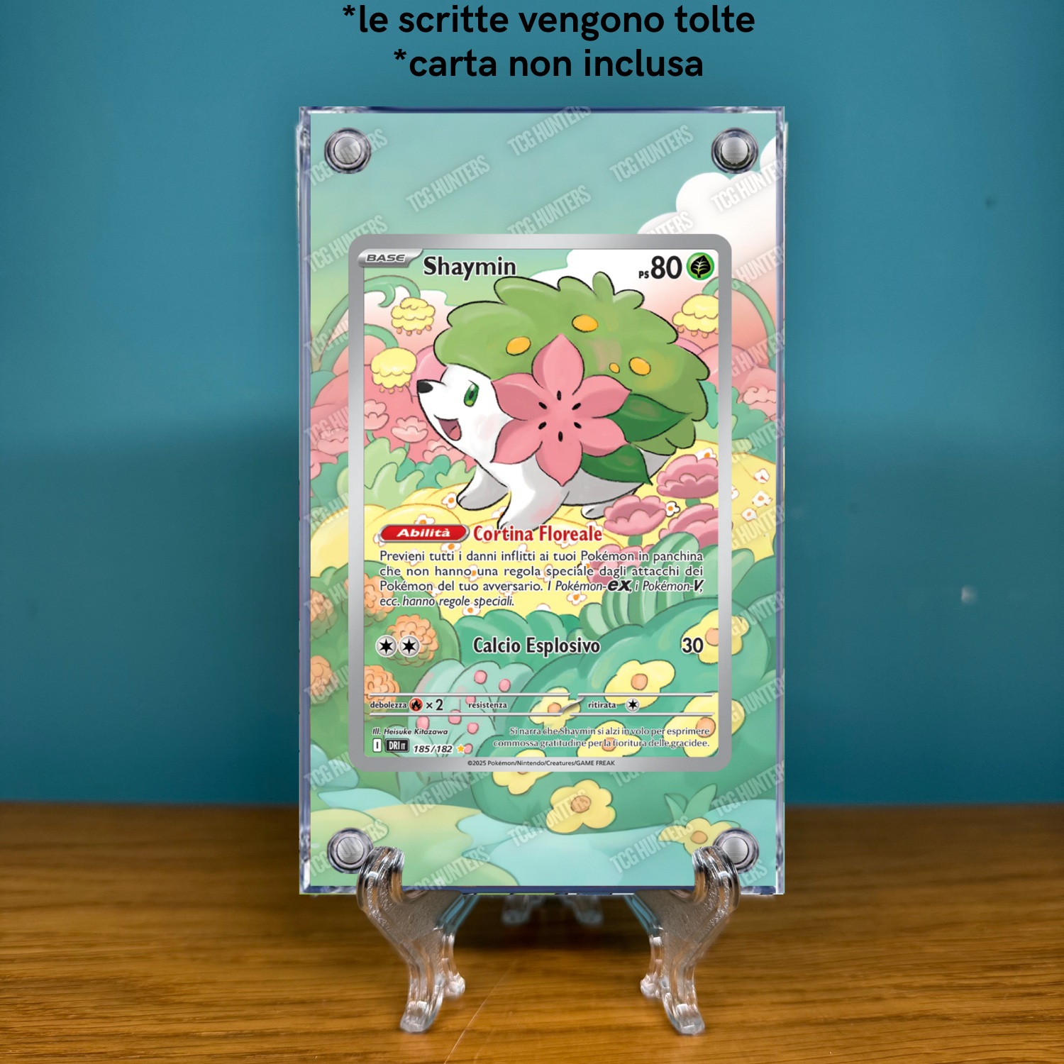 Pokémon Teca Magnetica Acrilico Extended Art - Shaymin DRI 185 | Display Case1