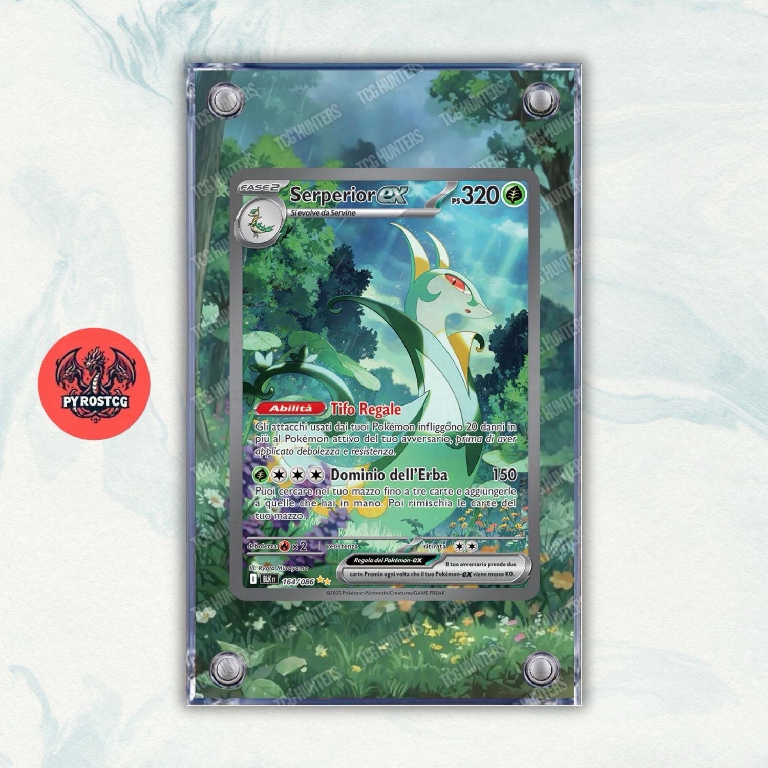 Pokémon Teca Magnetica Acrilico Extended Art - Serperio BLK 164 | Display Case0