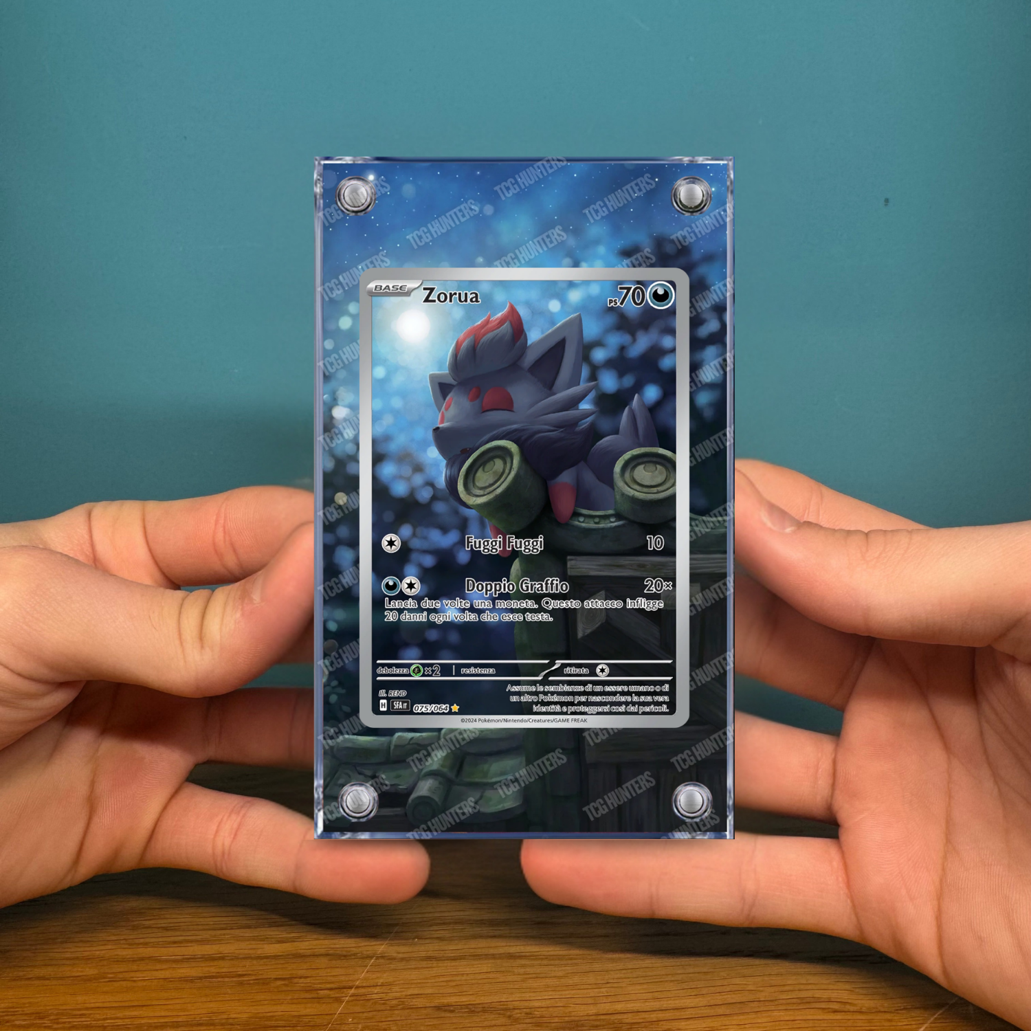 Pokémon Teca Magnetica Acrilico Extended Art - Zorua (SFA 075) | Display Case2
