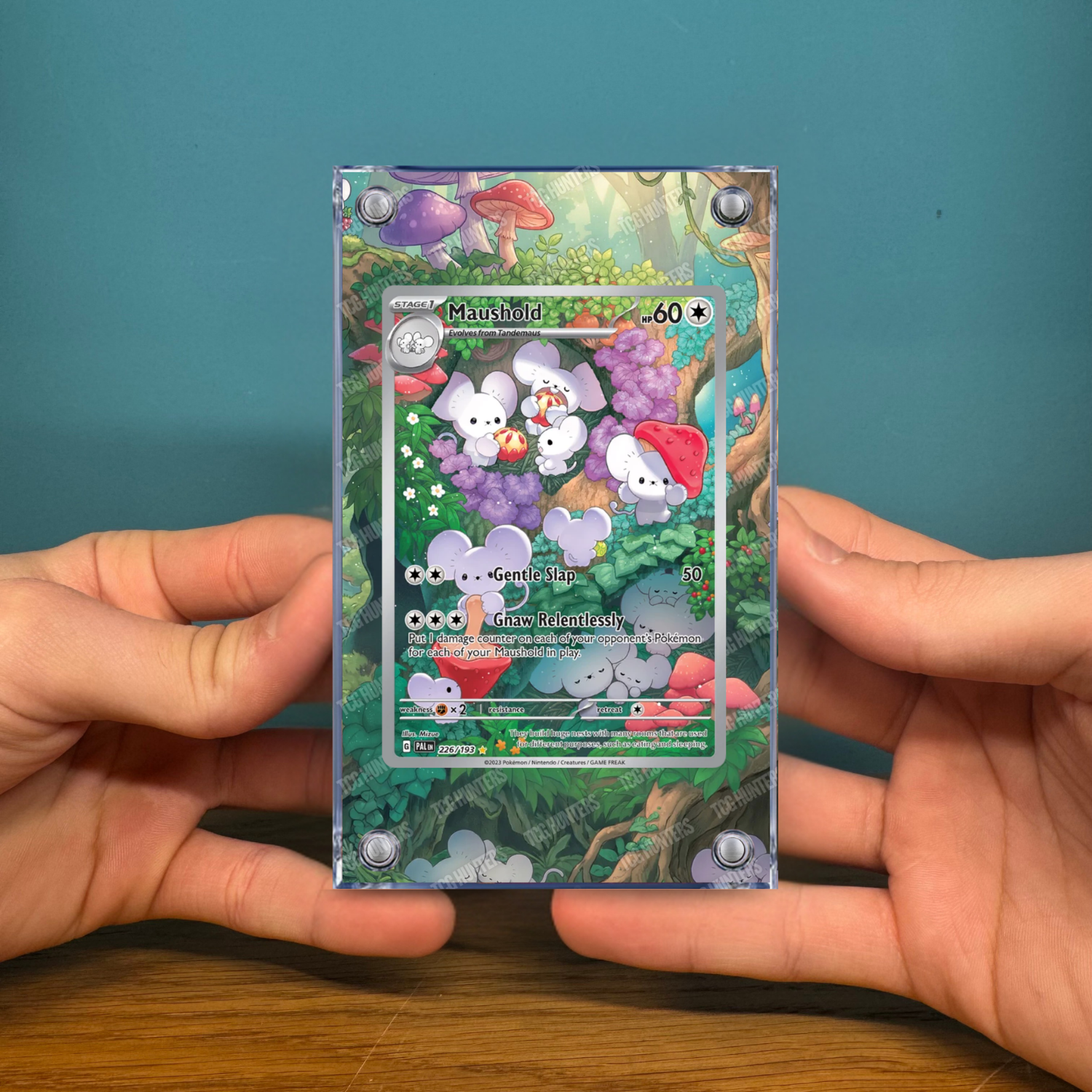Pokémon Teca Magnetica Acrilico Extended Art - Maushold (PAL 226) | Display Case2