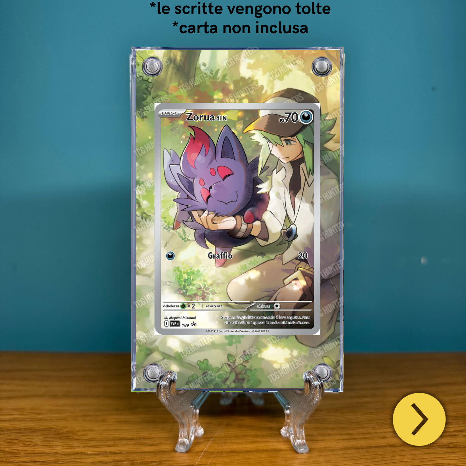 Pokémon Teca Magnetica Acrilico Extended Art - Zorua SVP 189 ETB | Display Case1