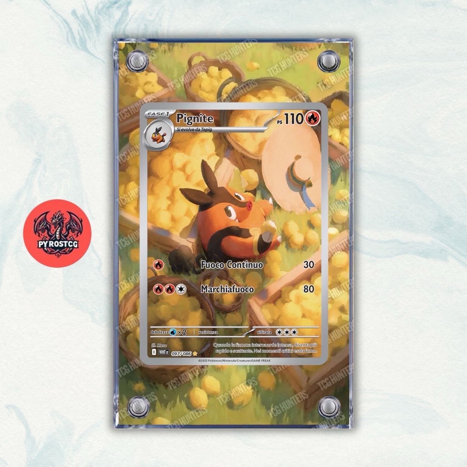 Pokémon x4 Teca Magnetica Acrilico Extended Art - Tepig Pignite Emboar + Mega 3