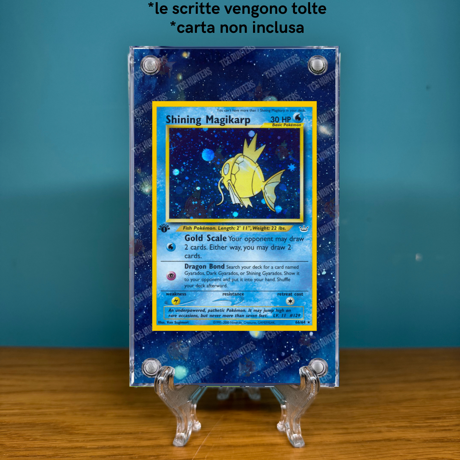 Pokémon Teca Magnetica Extended Art - Shining Magikarp NR 66 | Display Case1