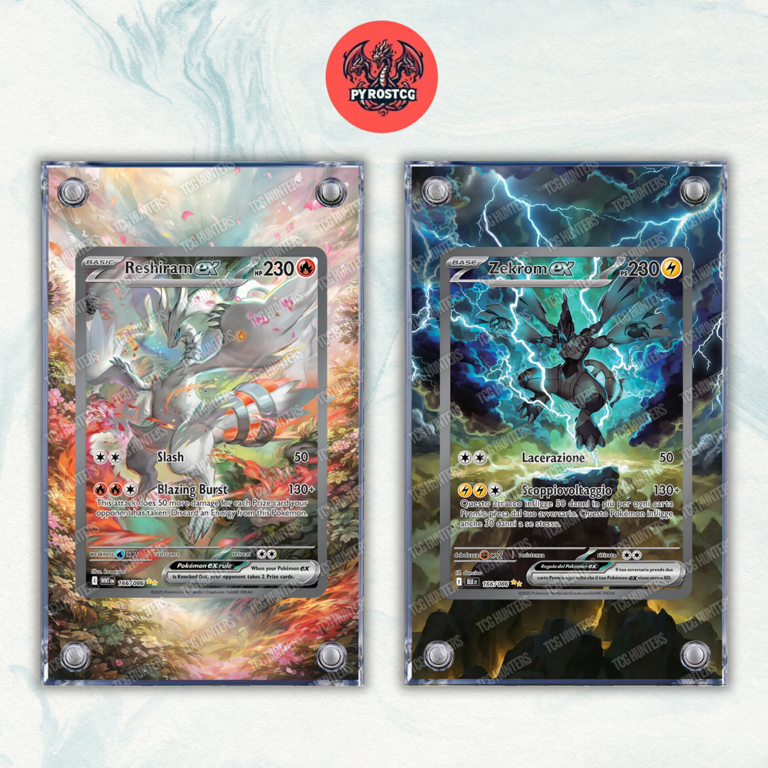 Pokémon x2 Teca Magnetica Extended Art - Zekrom Reshiram BLK WHT | Display Case0