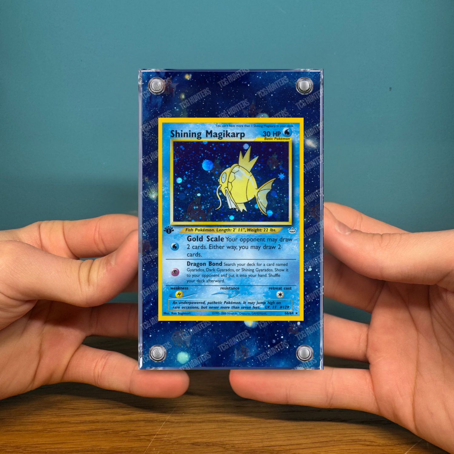 Pokémon Teca Magnetica Extended Art - Shining Magikarp NR 66 | Display Case2