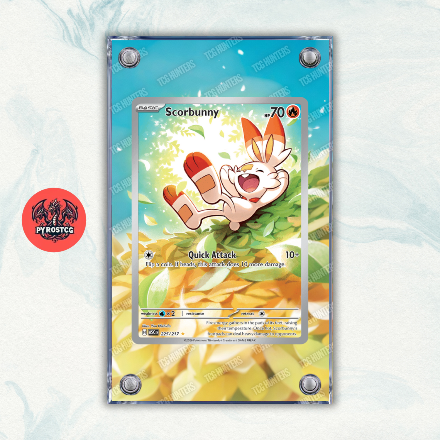 Pokémon Teca Magnetica Acrilico Extended Art - Scorbunny ASC 225 | Display Case0