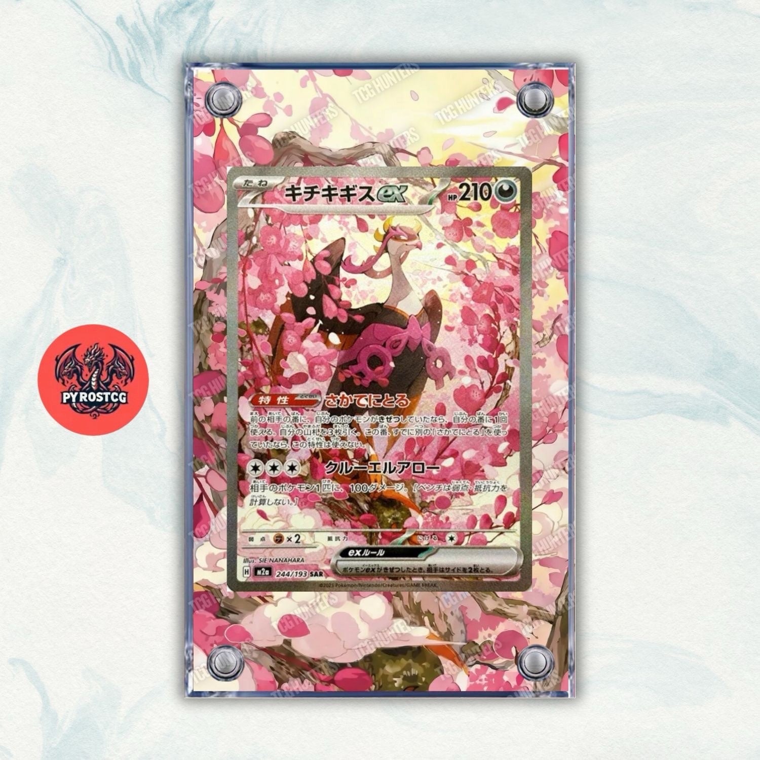 Pokémon Teca Magnetica Acrilico Extended Art Fezandipiti ASC 288 | Display Case0