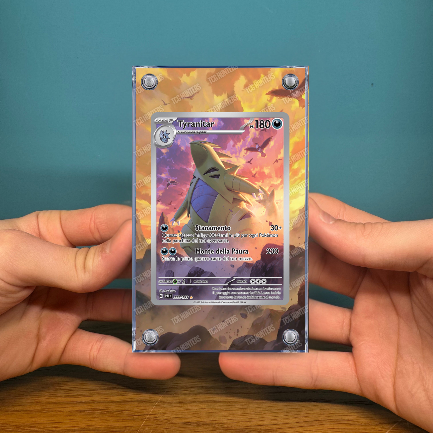 Pokémon Teca Magnetica Acrilico Extended Art - Tyranitar PAL 222 | Display Case2