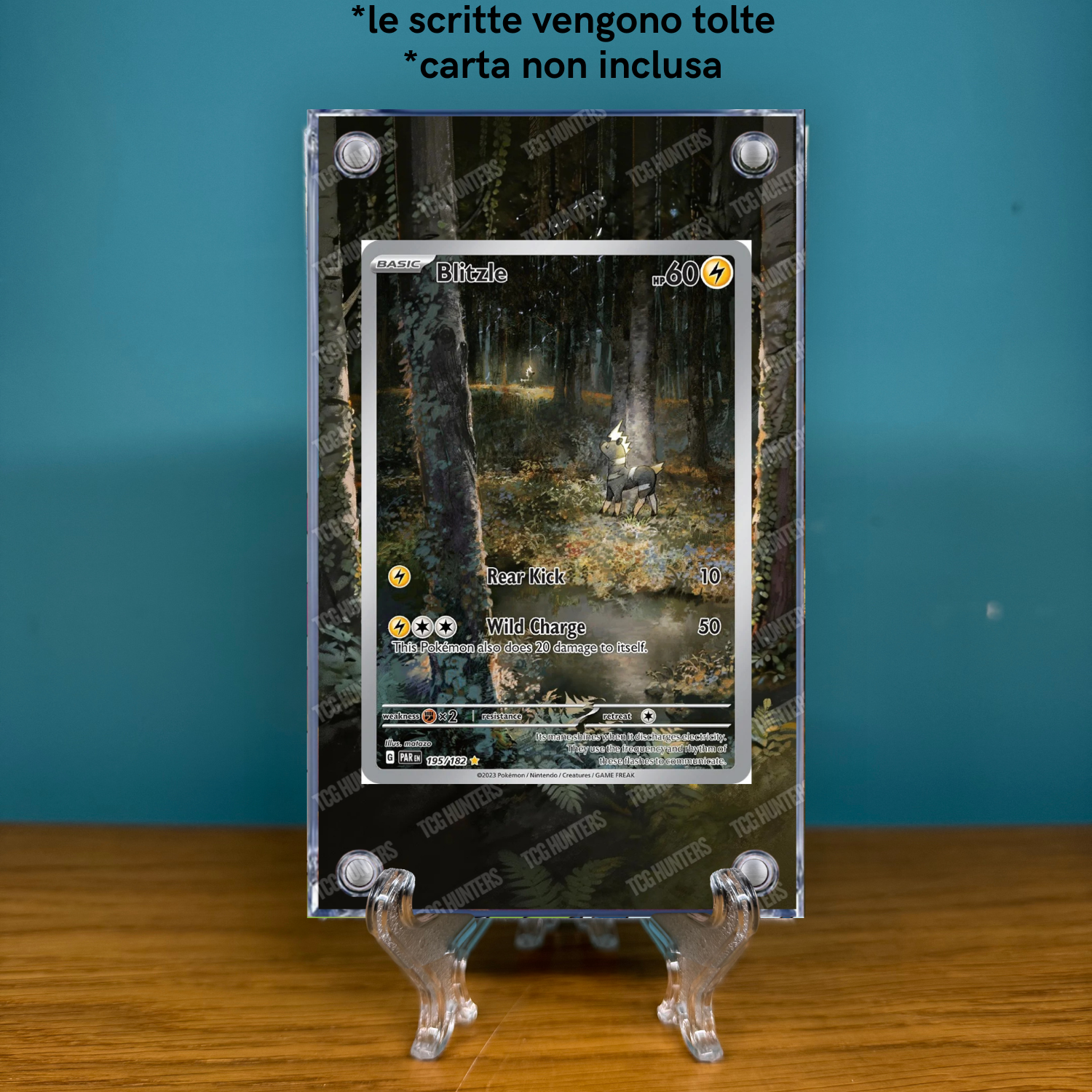 Pokémon Teca Magnetica Acrilico Extended Art - Blitzle (PAR 195) | Display Case1