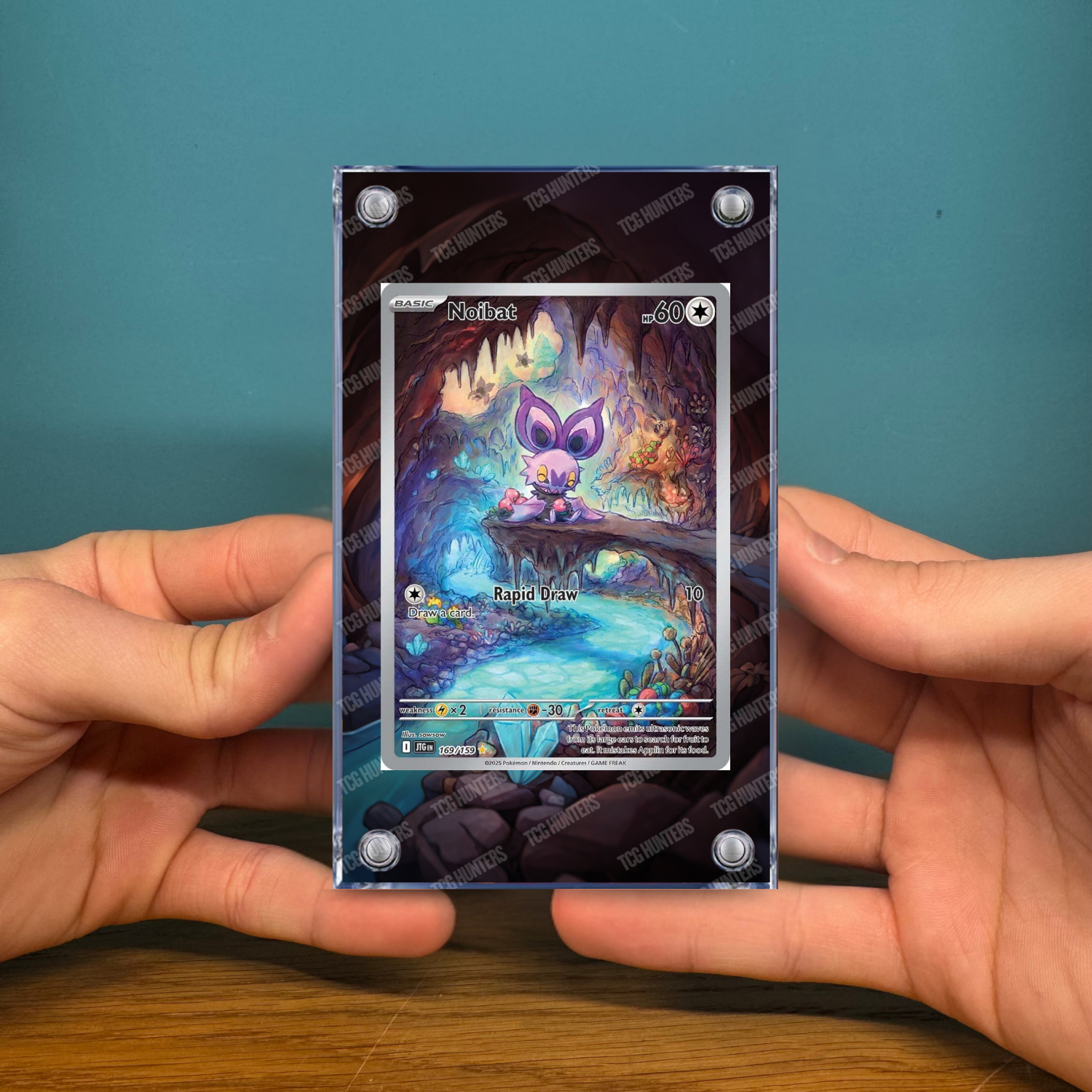 Pokémon Teca Magnetica Acrilico Extended Art - Noibat (JTG 169) | Display Case2