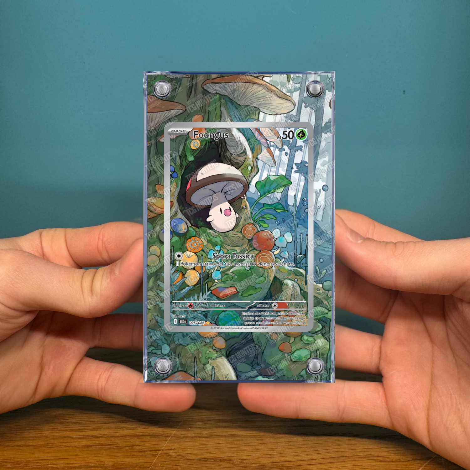 Pokémon Teca Magnetica Acrilico Extended Art - Foongus (BLK 095) | Display Case2