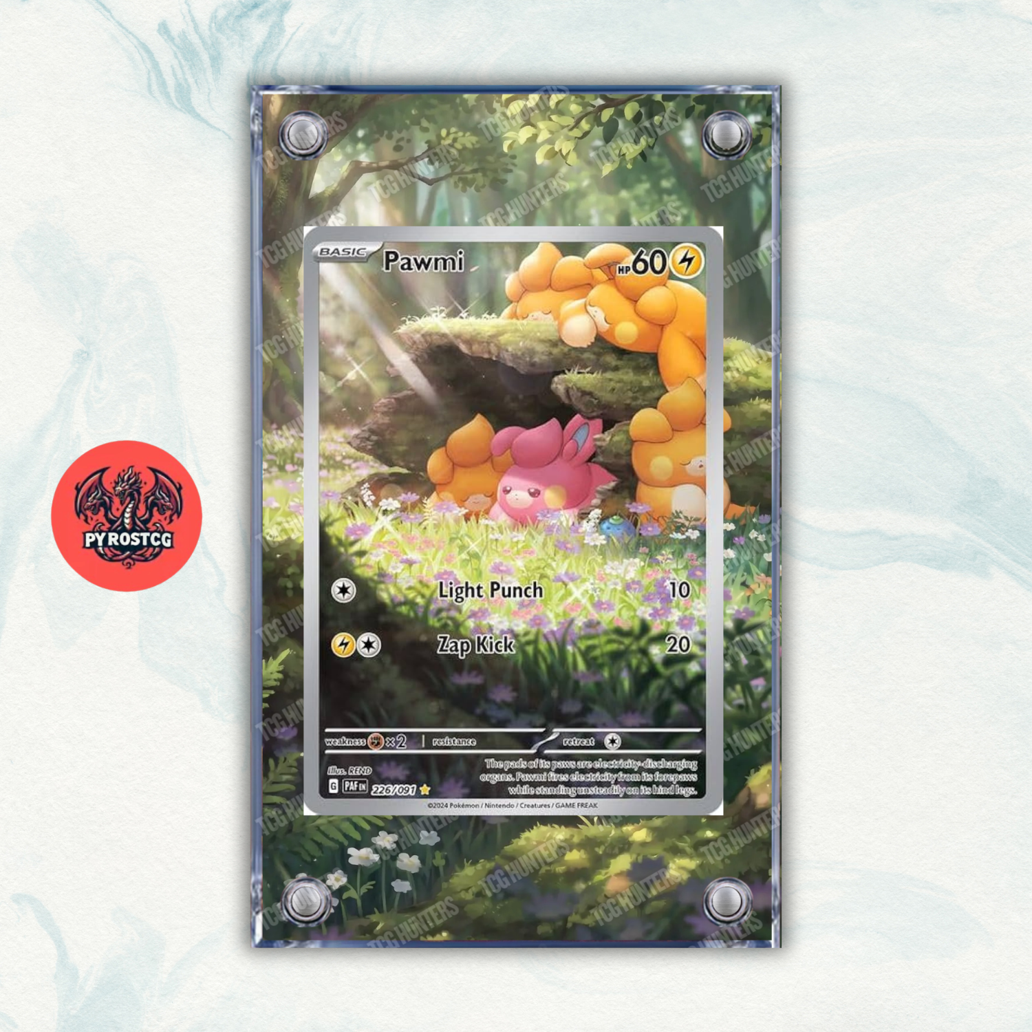 Pokémon Teca Magnetica Acrilico Extended Art - Pawmi (PAF 226) | Display Case0
