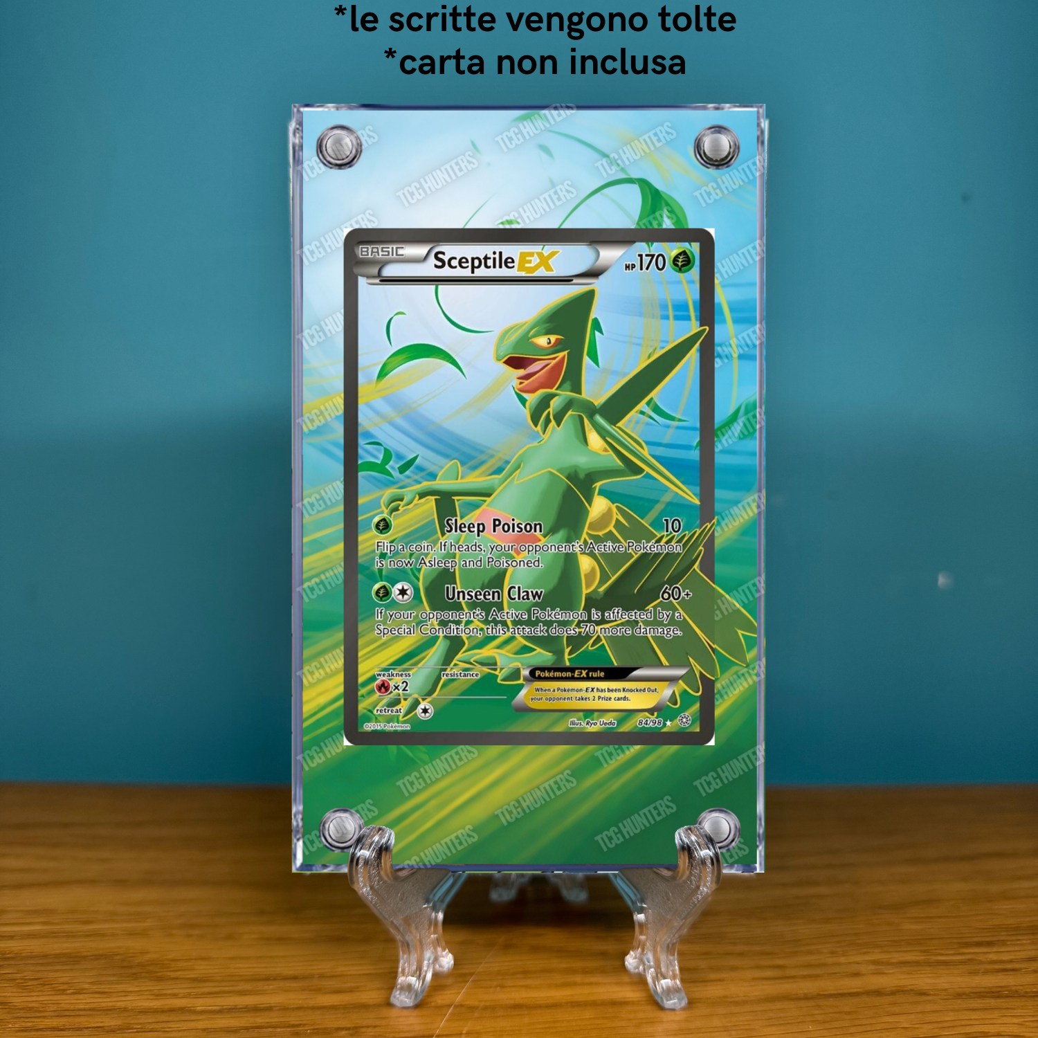 Pokémon Teca Magnetica Acrilico Extended Art - Sceptile EX AOR 84 | Display Case1