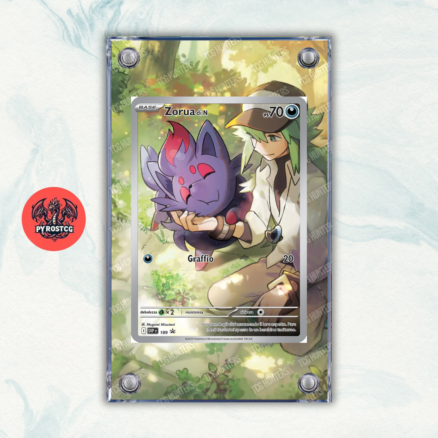 Pokémon Teca Magnetica Acrilico Extended Art - Zorua SVP 189 ETB | Display Case0