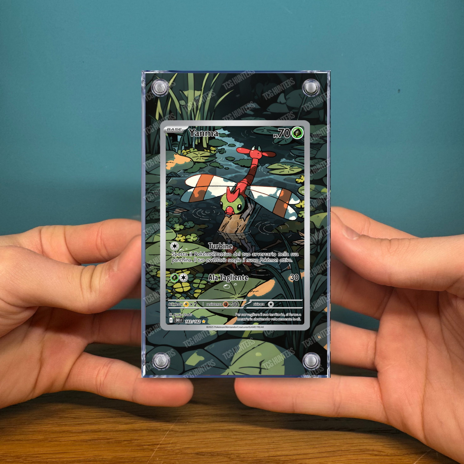 Pokémon Teca Magnetica Acrilico Extended Art - Yanma (DRI 183) | Display Case2