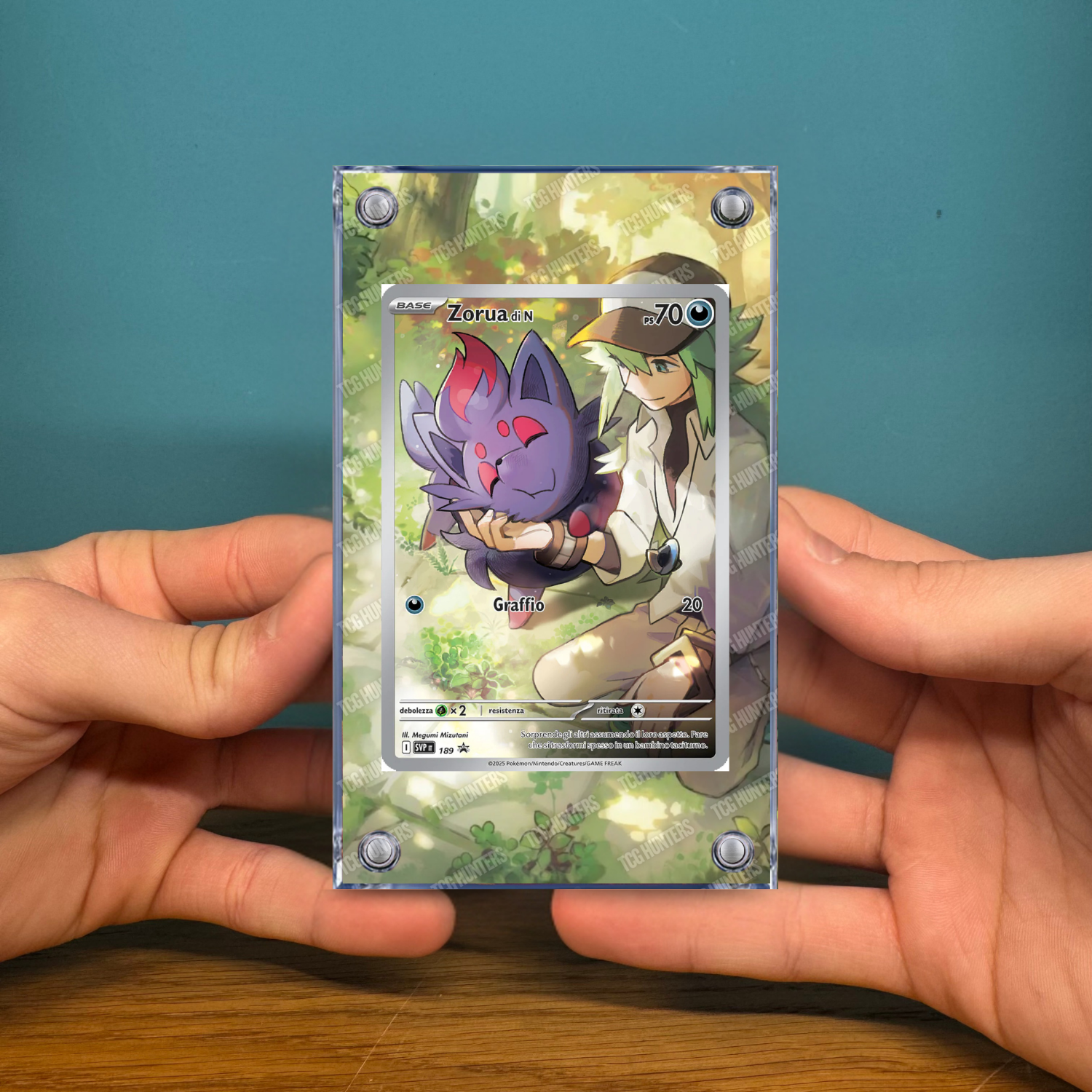 Pokémon Teca Magnetica Acrilico Extended Art - Zorua SVP 189 ETB | Display Case2