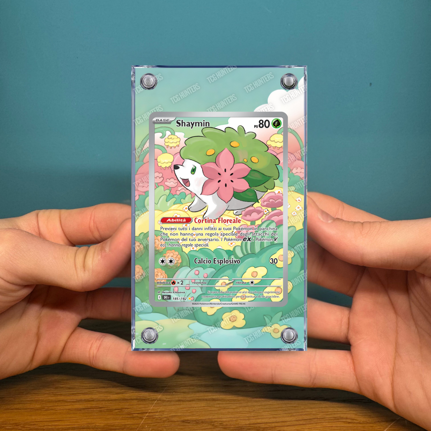 Pokémon Teca Magnetica Acrilico Extended Art - Shaymin DRI 185 | Display Case2