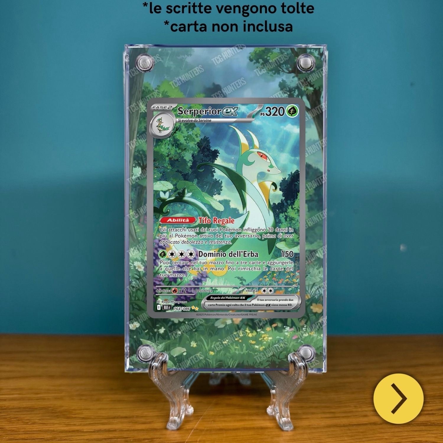 Pokémon Teca Magnetica Acrilico Extended Art - Serperio BLK 164 | Display Case1
