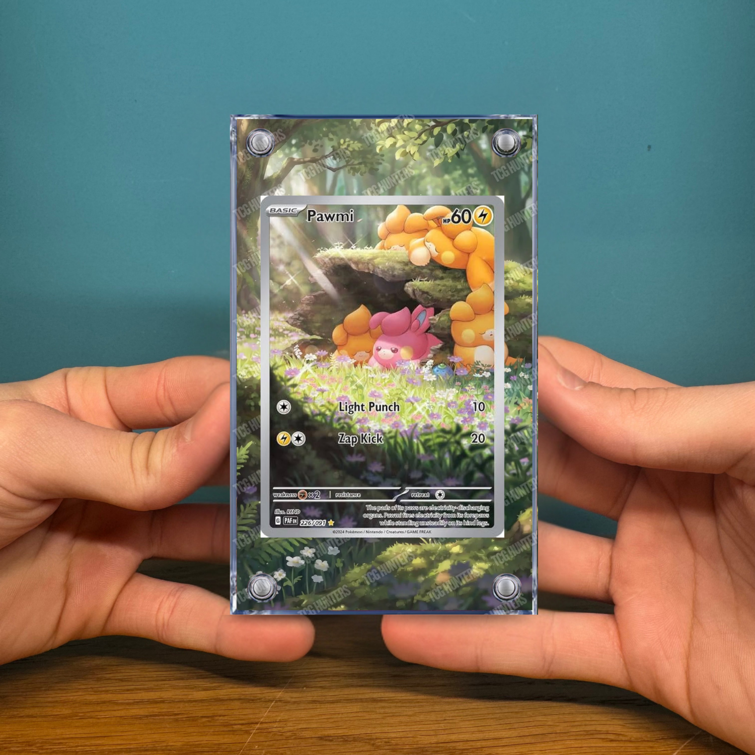 Pokémon Teca Magnetica Acrilico Extended Art - Pawmi (PAF 226) | Display Case2