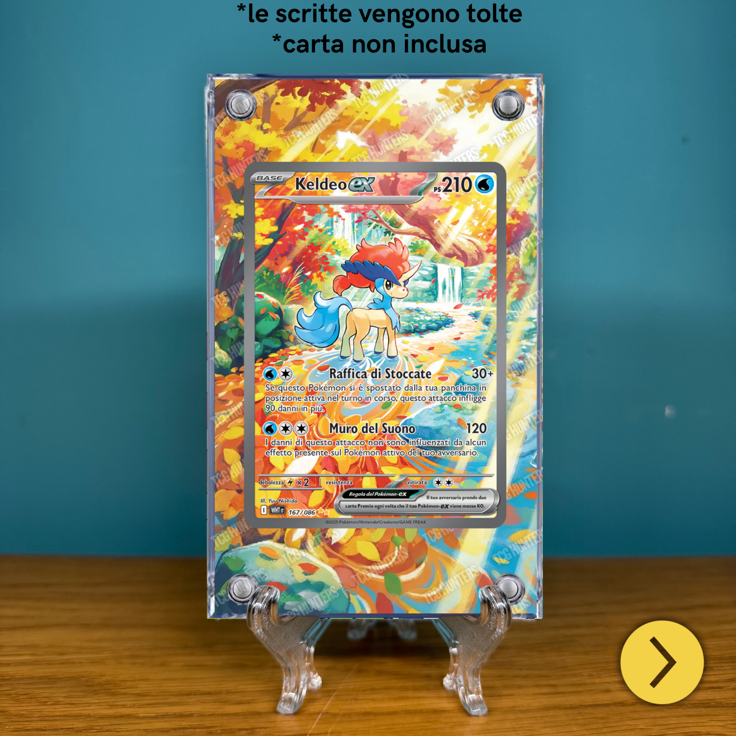 Pokémon Teca Magnetica Acrilico Extended Art - Keldeo WHT 169 | Display Case1