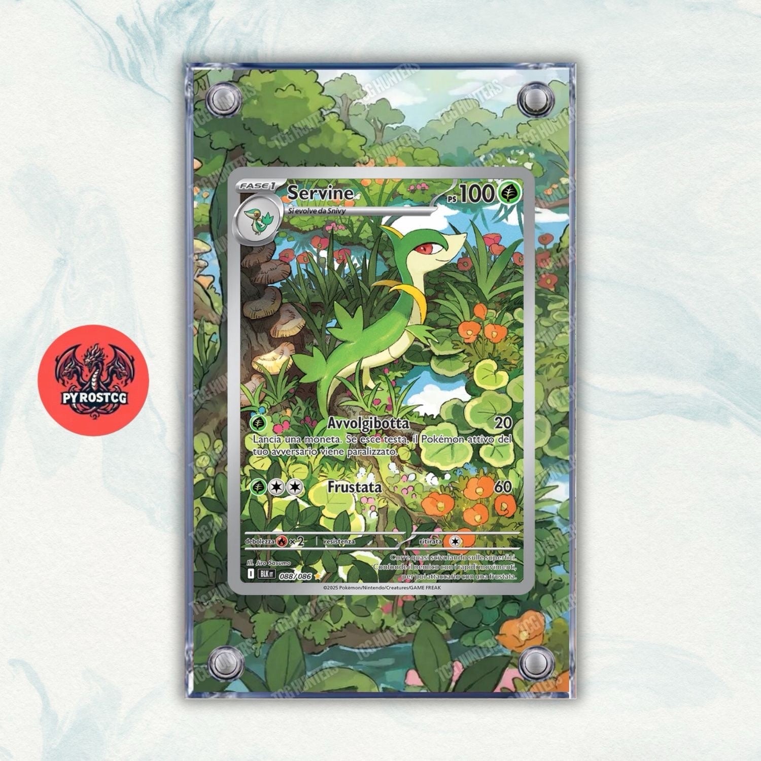 Pokémon Teca Magnetica Acrilico Extended Art - Servine BLK 088 | Display Case0