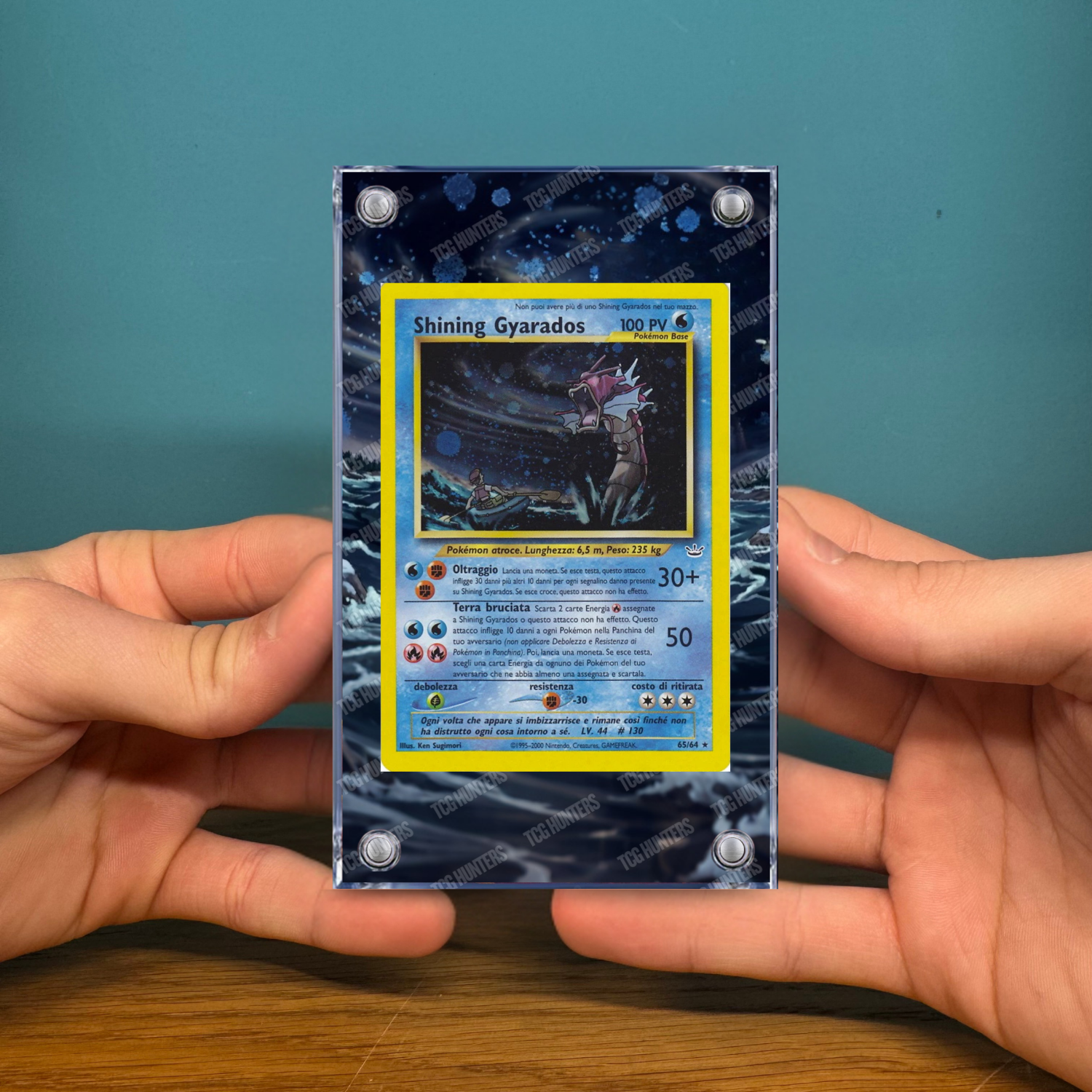 Pokémon Teca Magnetica Extended Art - Shining Gyarados NR 65 | Display Case2
