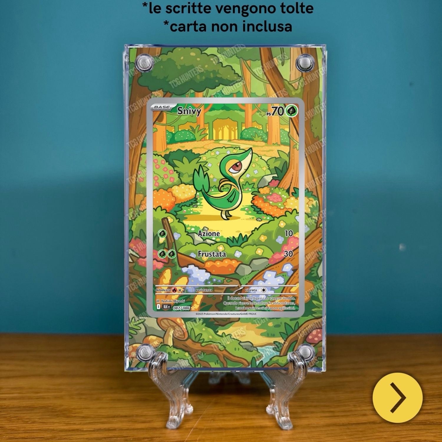 Pokémon Teca Magnetica Acrilico Extended Art - Snivy BLK 087 | Display Case1