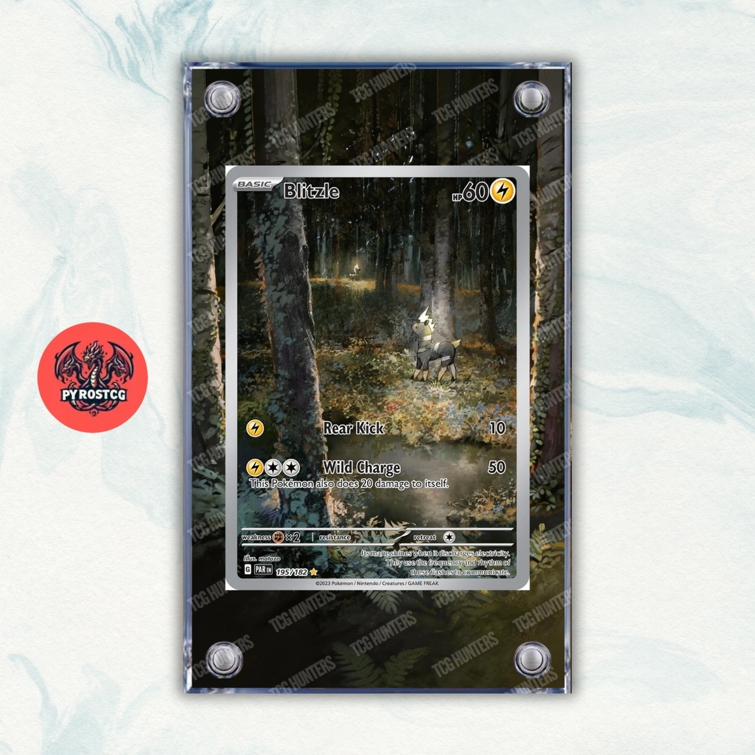 Pokémon Teca Magnetica Acrilico Extended Art - Blitzle (PAR 195) | Display Case0