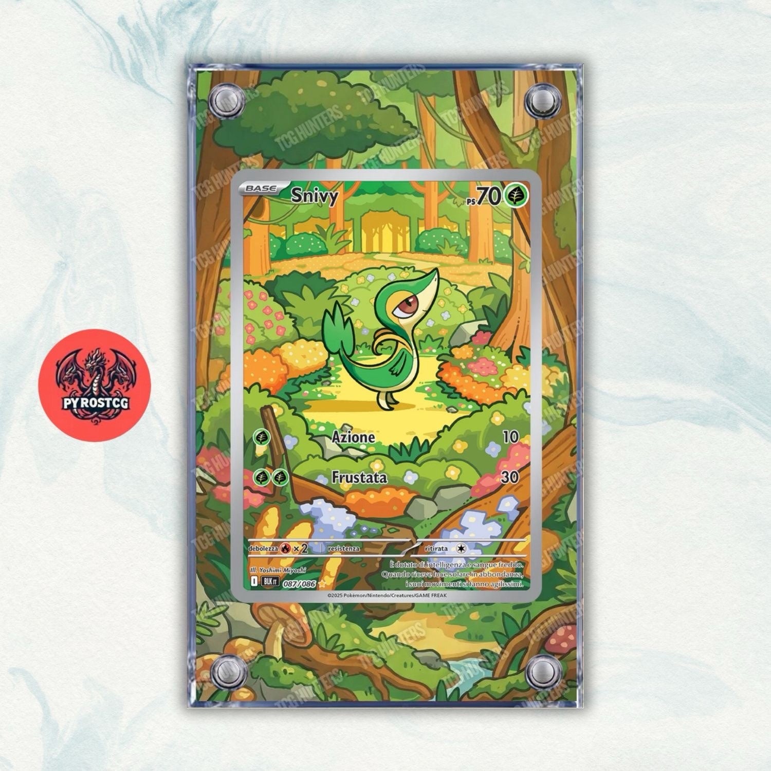 Pokémon Teca Magnetica Acrilico Extended Art - Snivy BLK 087 | Display Case0