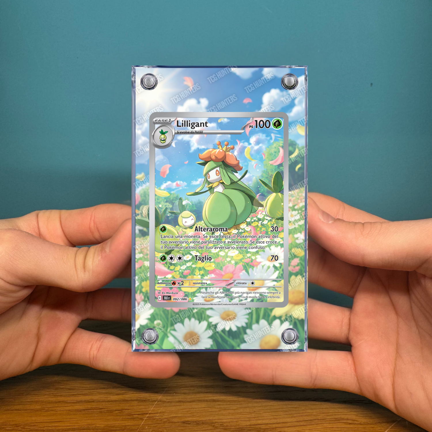 Pokémon Teca Magnetica Acrilico Extended Art - Lilligant BLK 092 | Display Case2