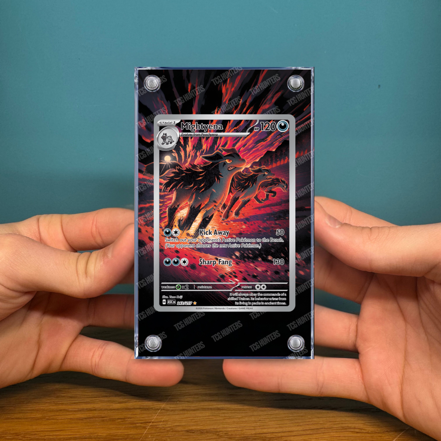 Pokémon Teca Magnetica Acrilico Extended Art - Mightyena ASC 243 | Display Case2