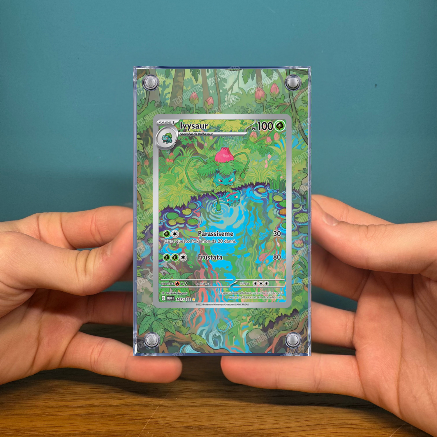 Pokémon Teca Magnetica Acrilico Extended Art - Ivysaur MEW 167 | Display Case2