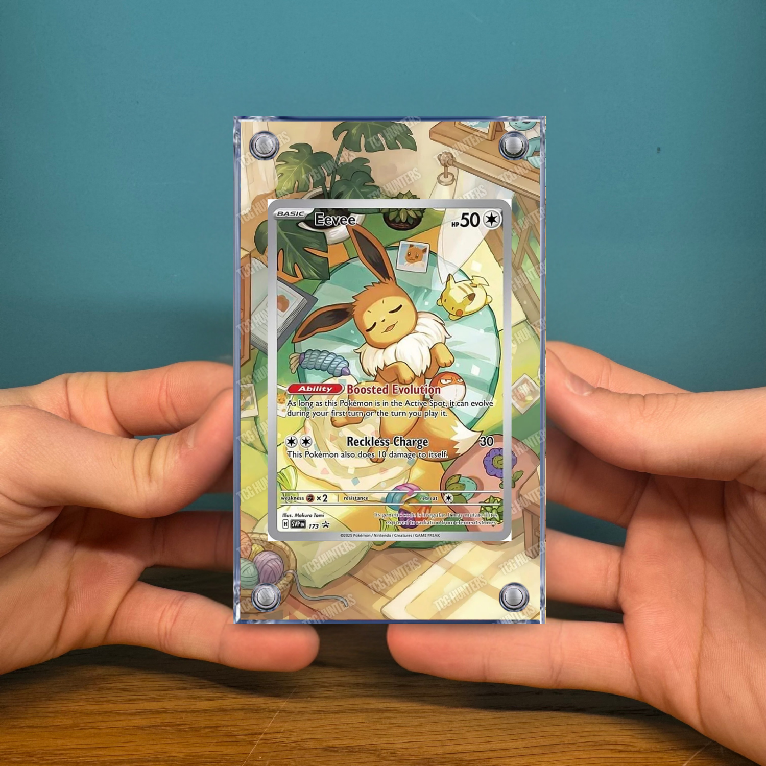 Pokémon Teca Magnetica Acrilico Extended Art - Eevee SVP 173 ETB | Display Case2