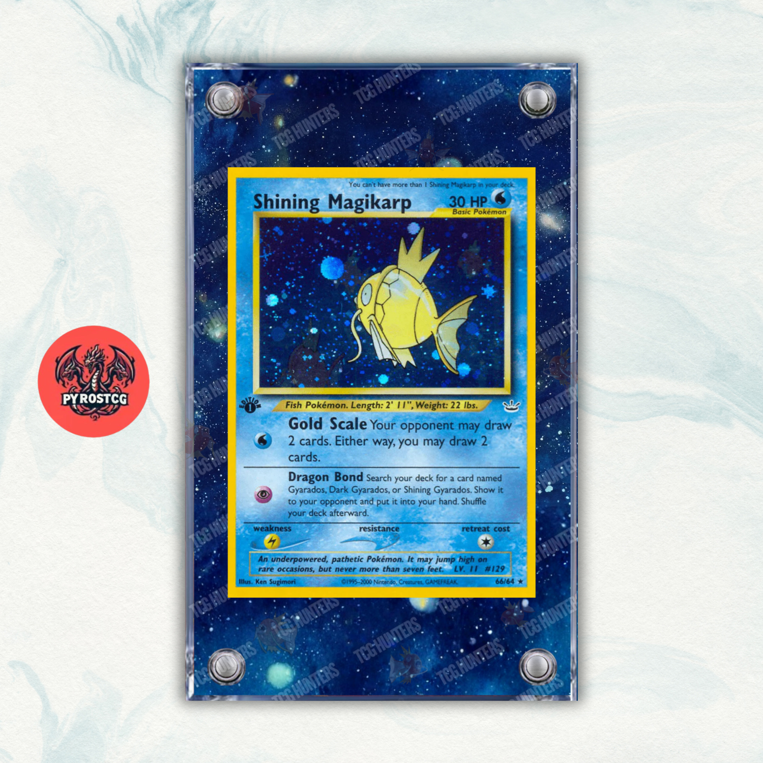 Pokémon Teca Magnetica Extended Art - Shining Magikarp NR 66 | Display Case0