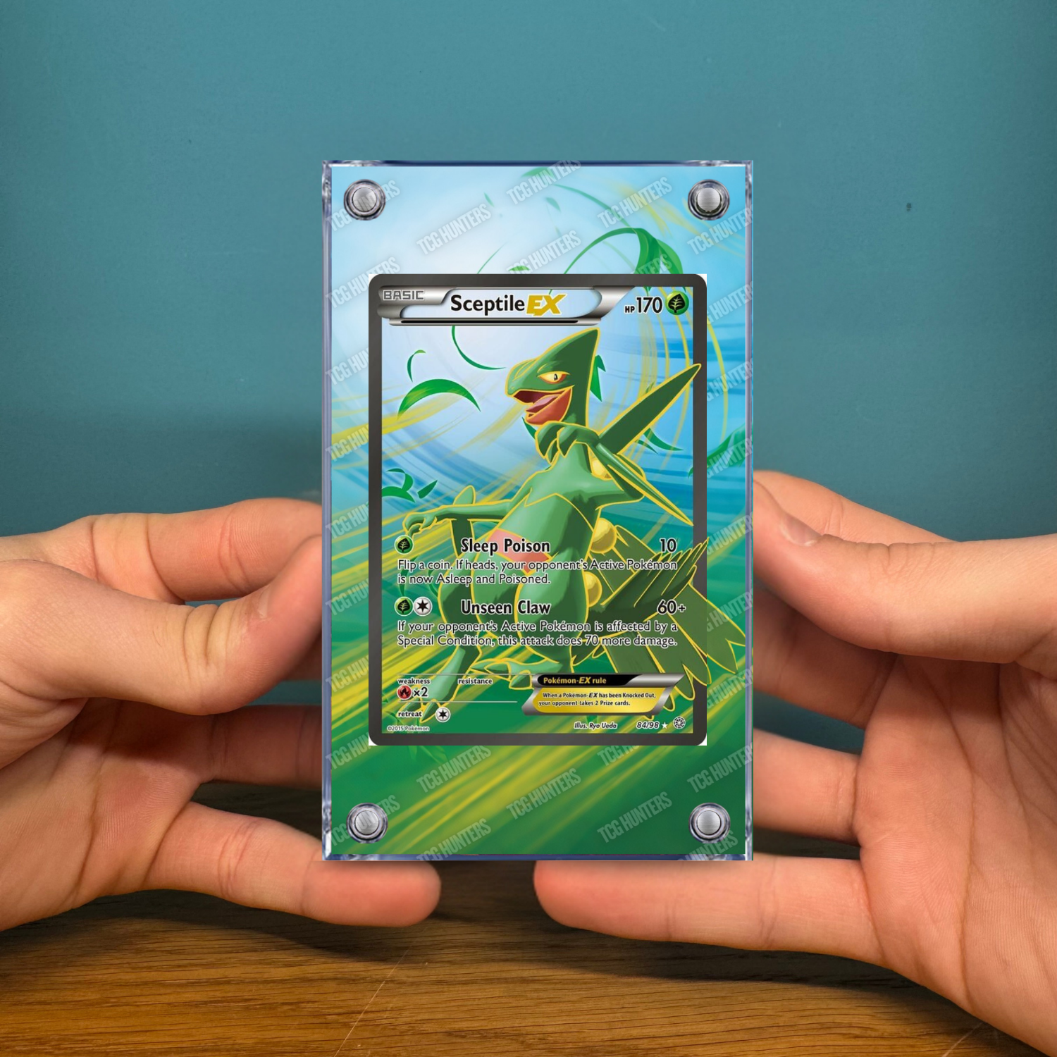 Pokémon Teca Magnetica Acrilico Extended Art - Sceptile EX AOR 84 | Display Case2