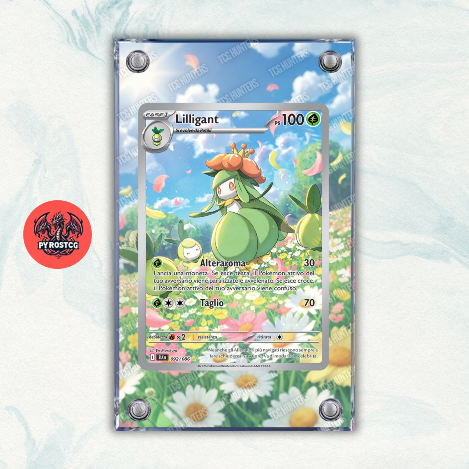 Pokémon Teca Magnetica Acrilico Extended Art - Lilligant BLK 092 | Display Case0